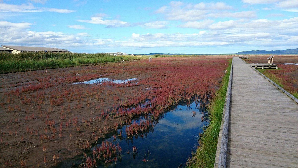 🏞️ 우바라나이 산호초 군락지(우바라나이 산고소 군라쿠치) 이미지 4